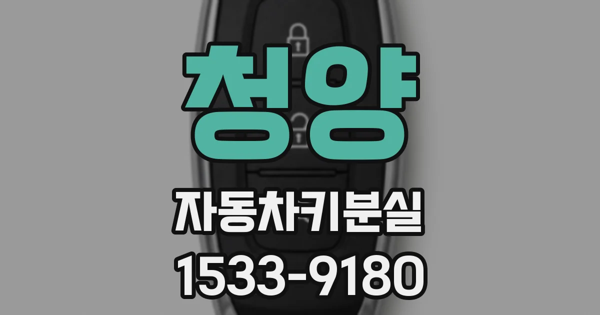 청양 자동차키분실