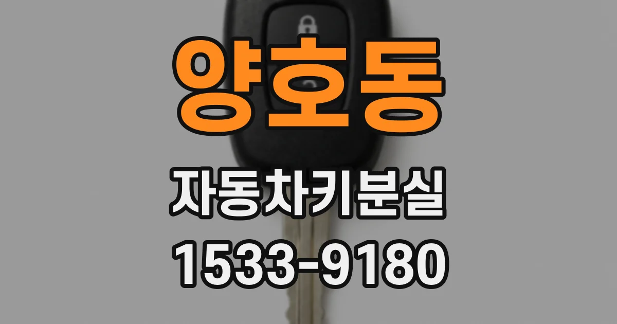 양호동 자동차키분실
