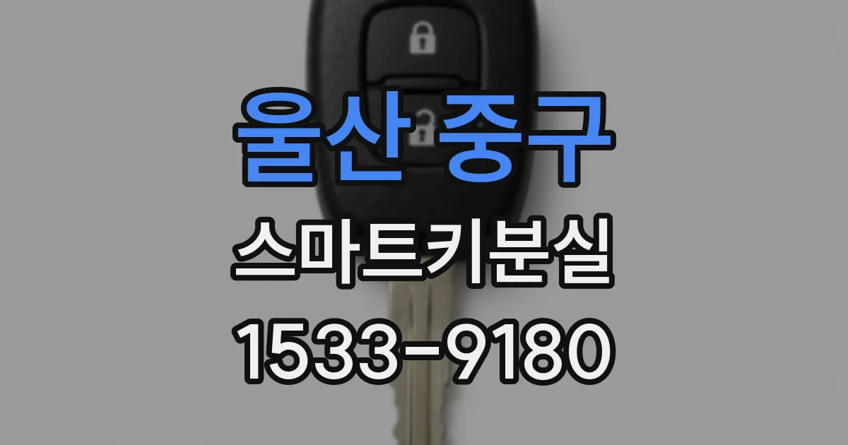 울산 중구 스마트키분실