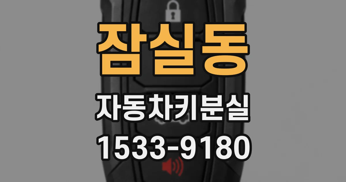 잠실동 자동차키분실