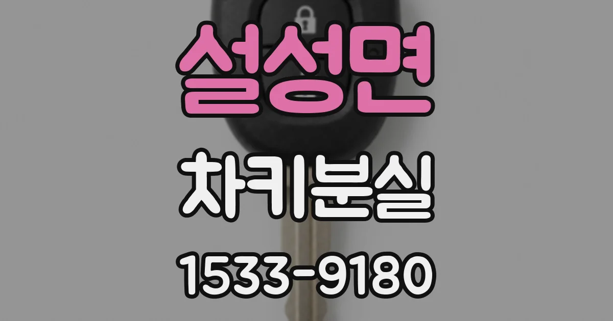 설성면 차키분실