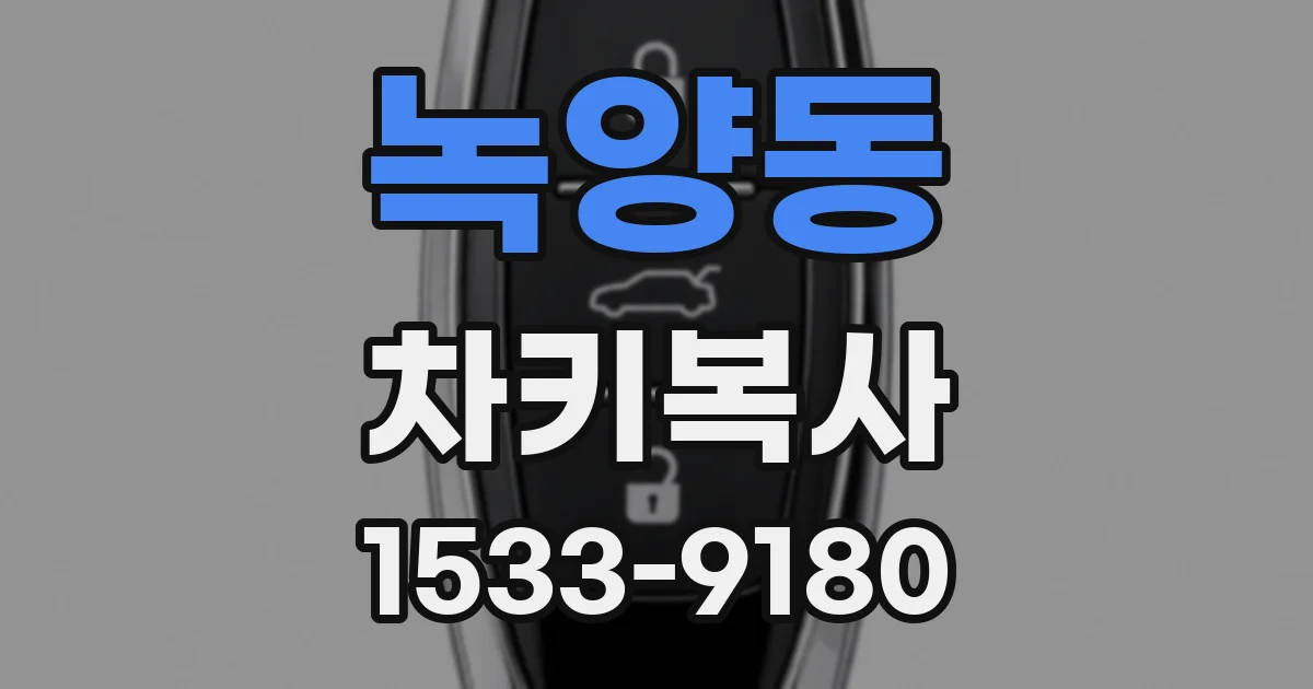녹양동 차키복사
