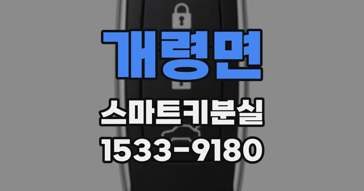 개령면 스마트키분실