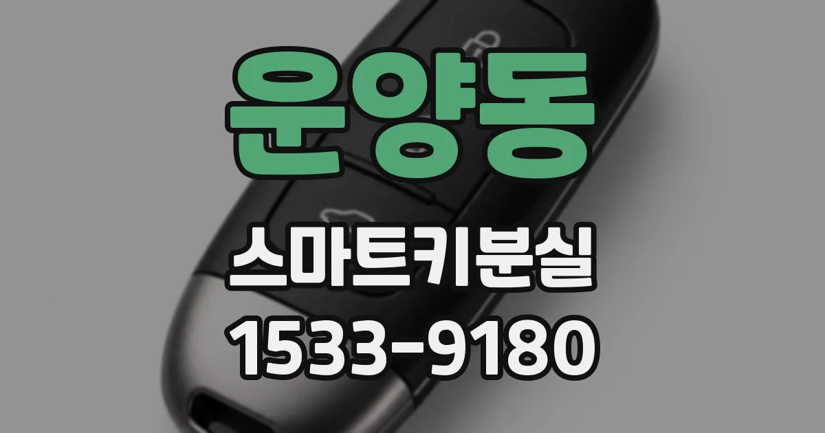 운양동 스마트키분실