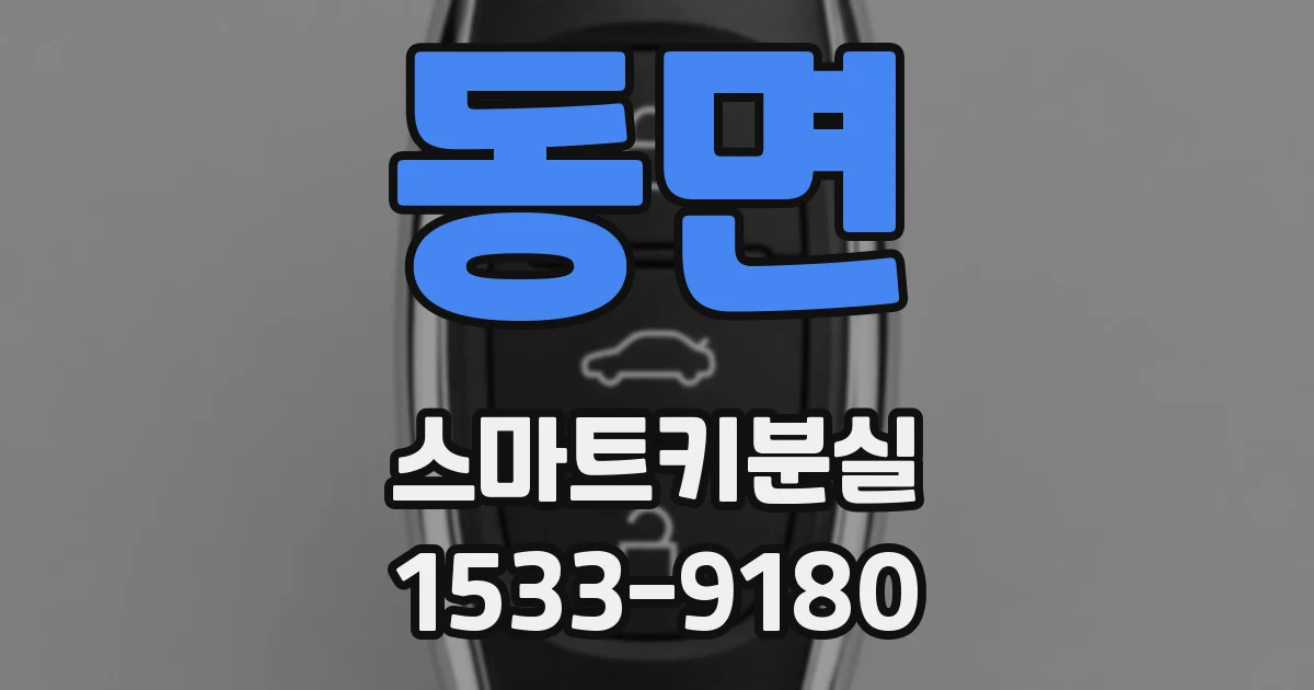 동면 스마트키분실