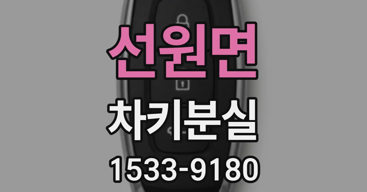 선원면 차키분실