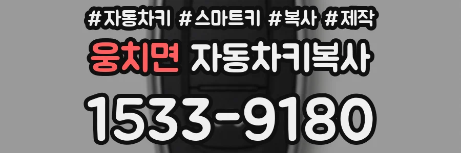웅치면 자동차키복사