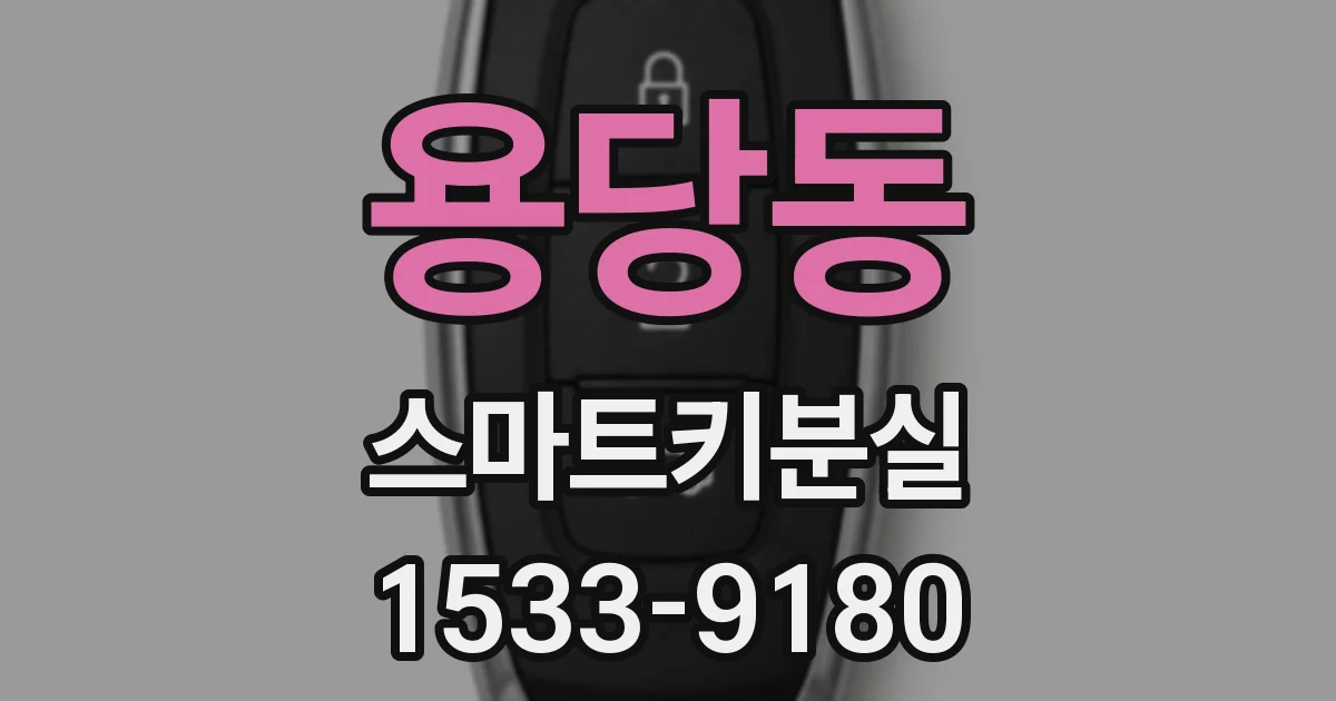 용당동 스마트키분실