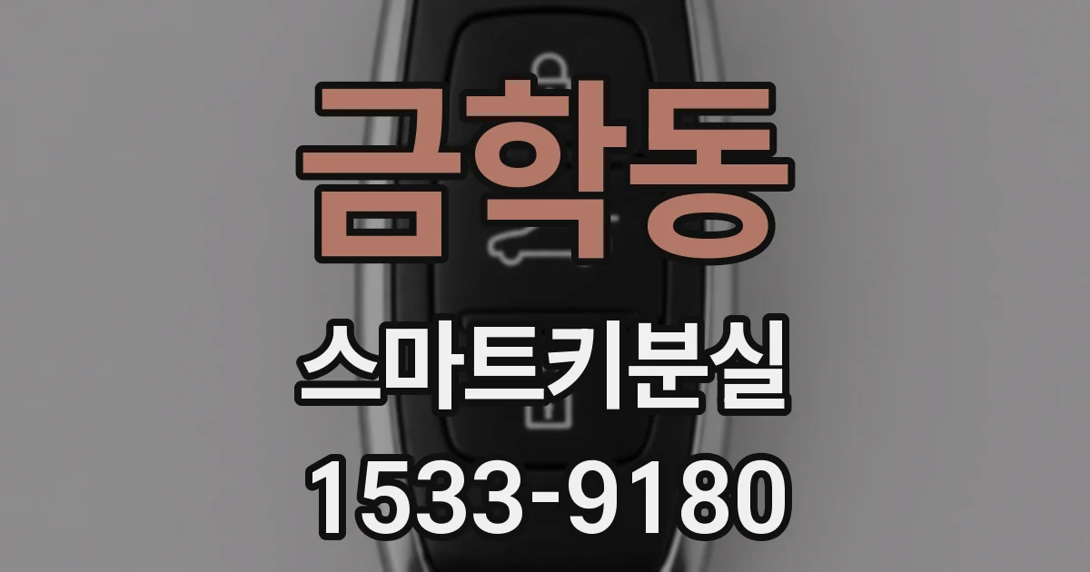 금학동 스마트키분실