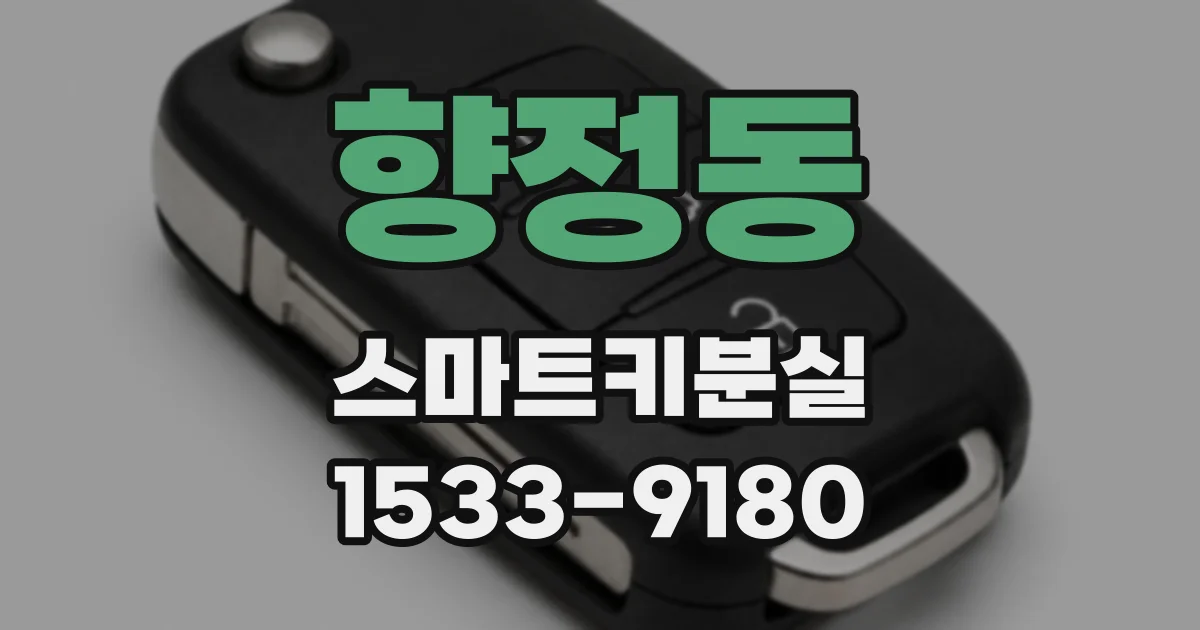 향정동 스마트키분실