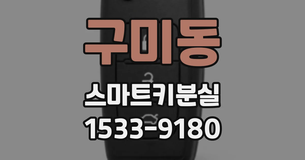 구미동 스마트키분실