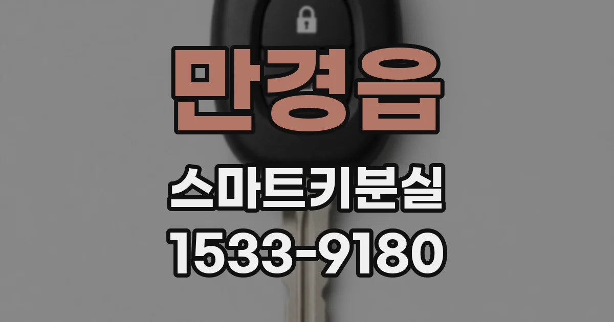 만경읍 스마트키분실