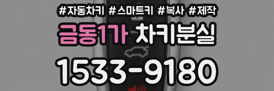 금동1가 차키분실