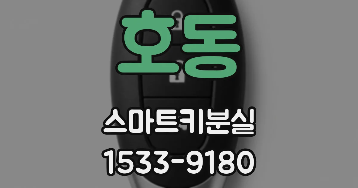 호동 스마트키분실