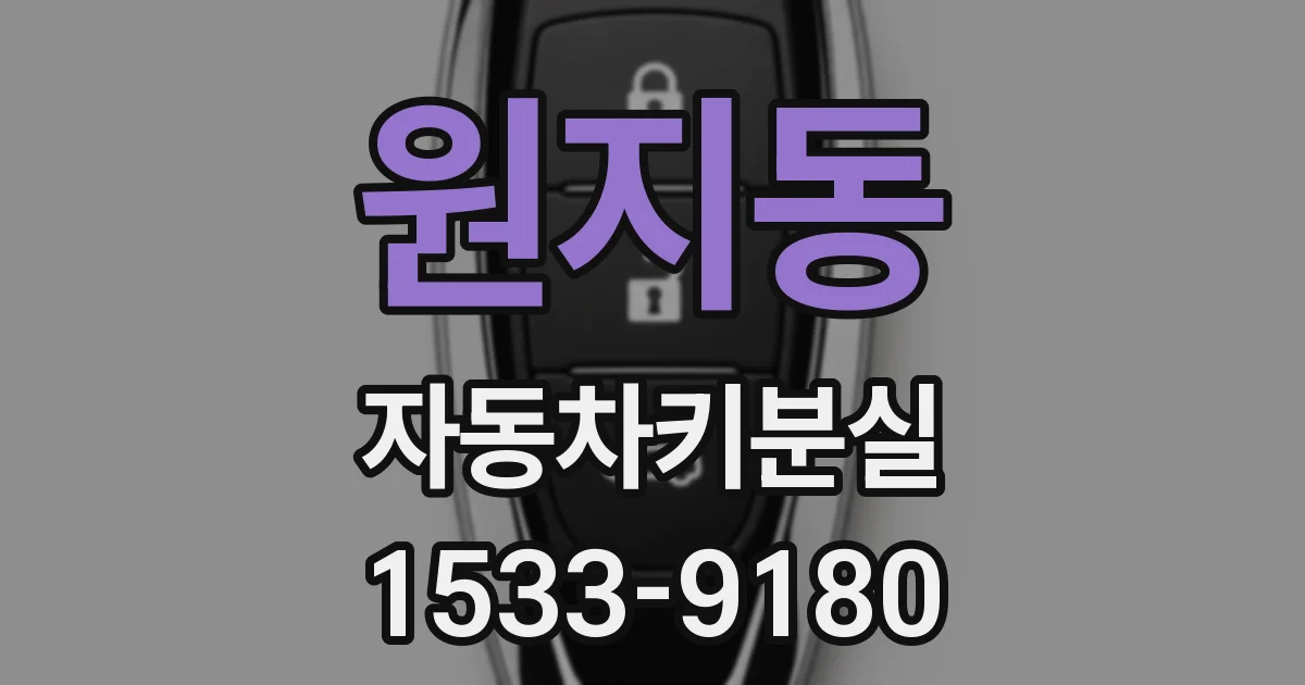 원지동 자동차키분실
