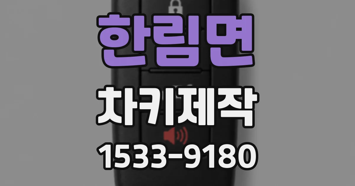 한림면 차키제작
