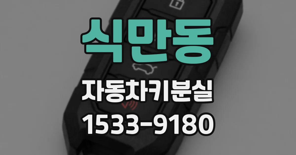 식만동 자동차키분실
