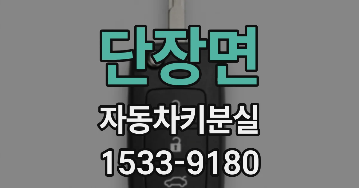 단장면 자동차키분실