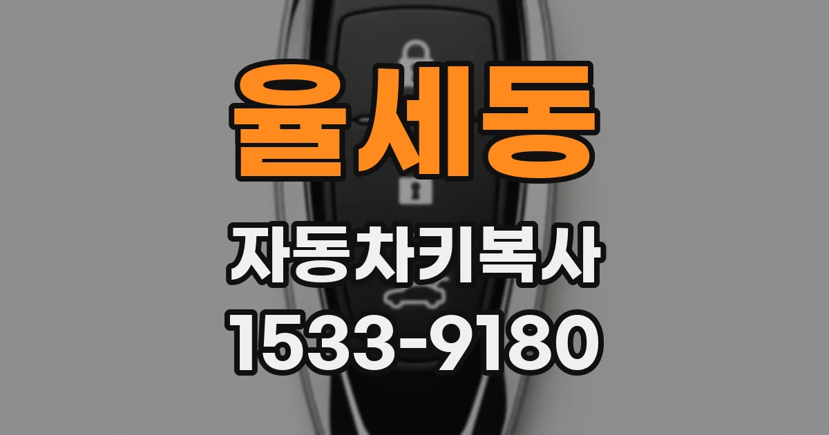율세동 자동차키복사