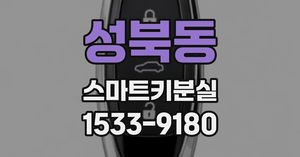성북동 스마트키분실