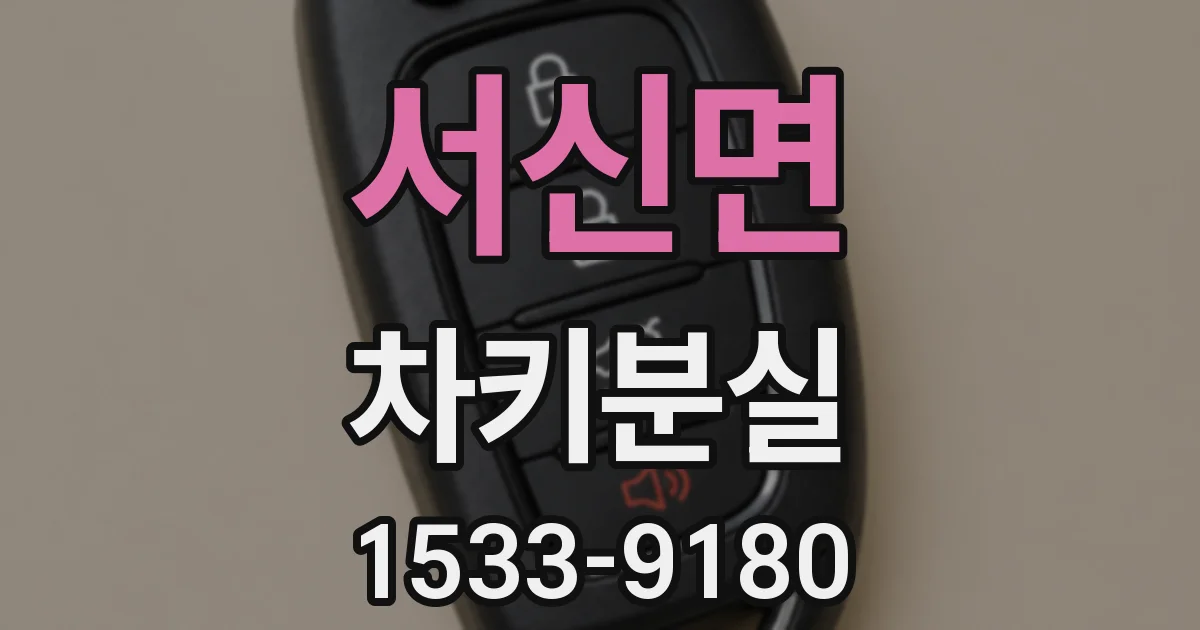 서신면 차키분실