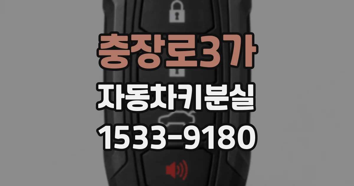 충장로3가 자동차키분실