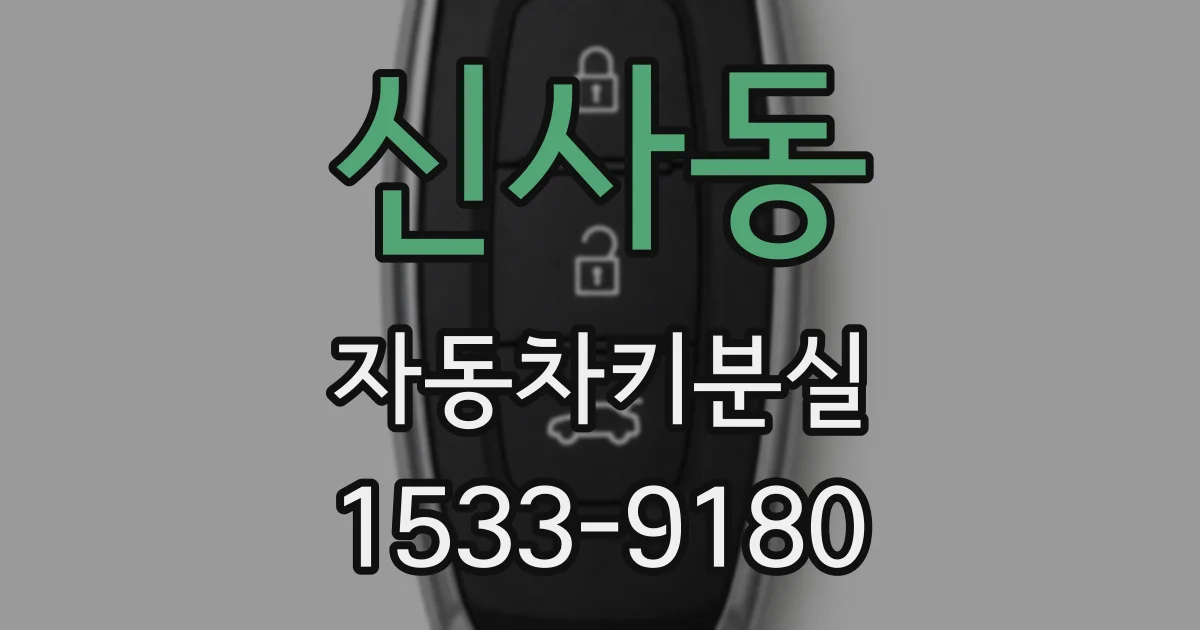 신사동 자동차키분실