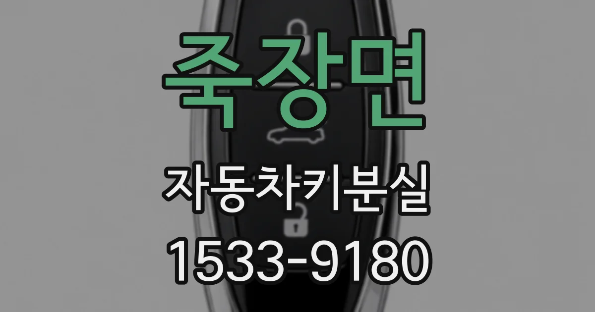 죽장면 자동차키분실