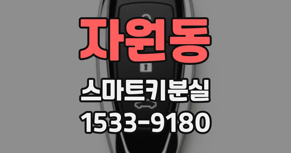 자원동 스마트키분실