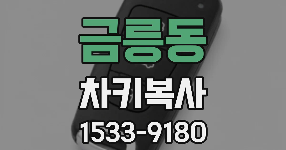 금릉동 차키복사