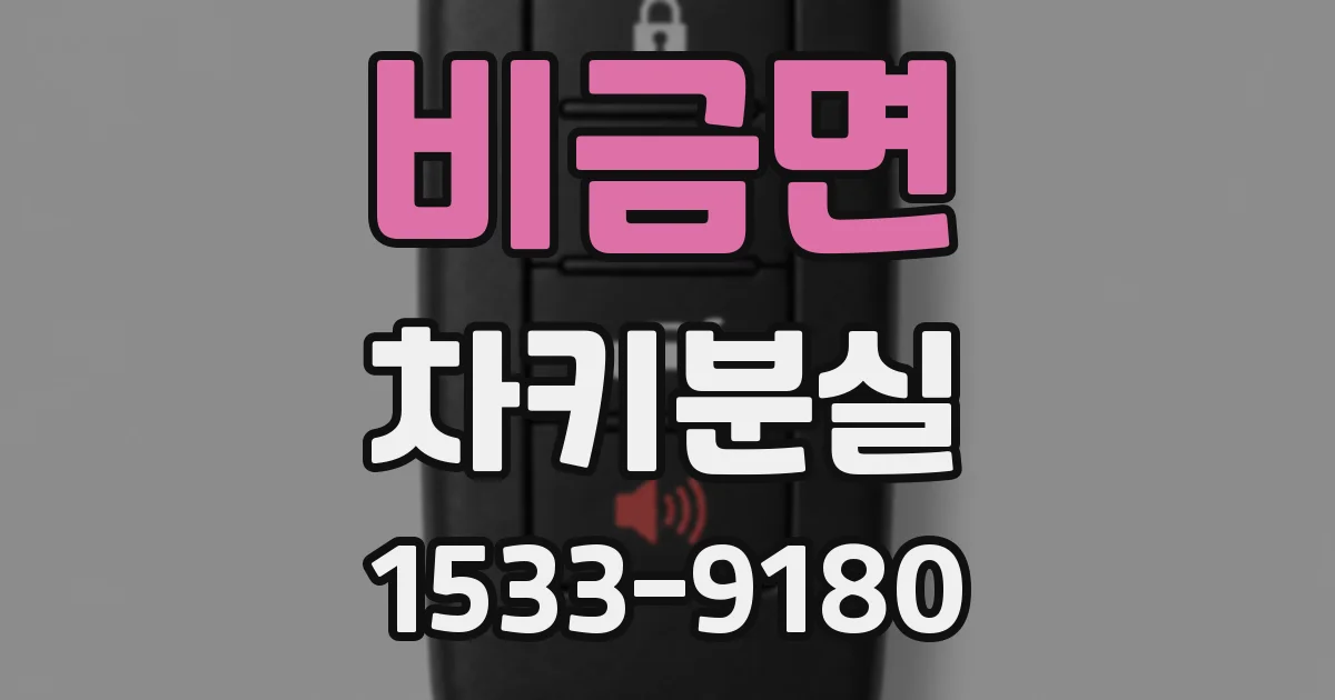 비금면 차키분실
