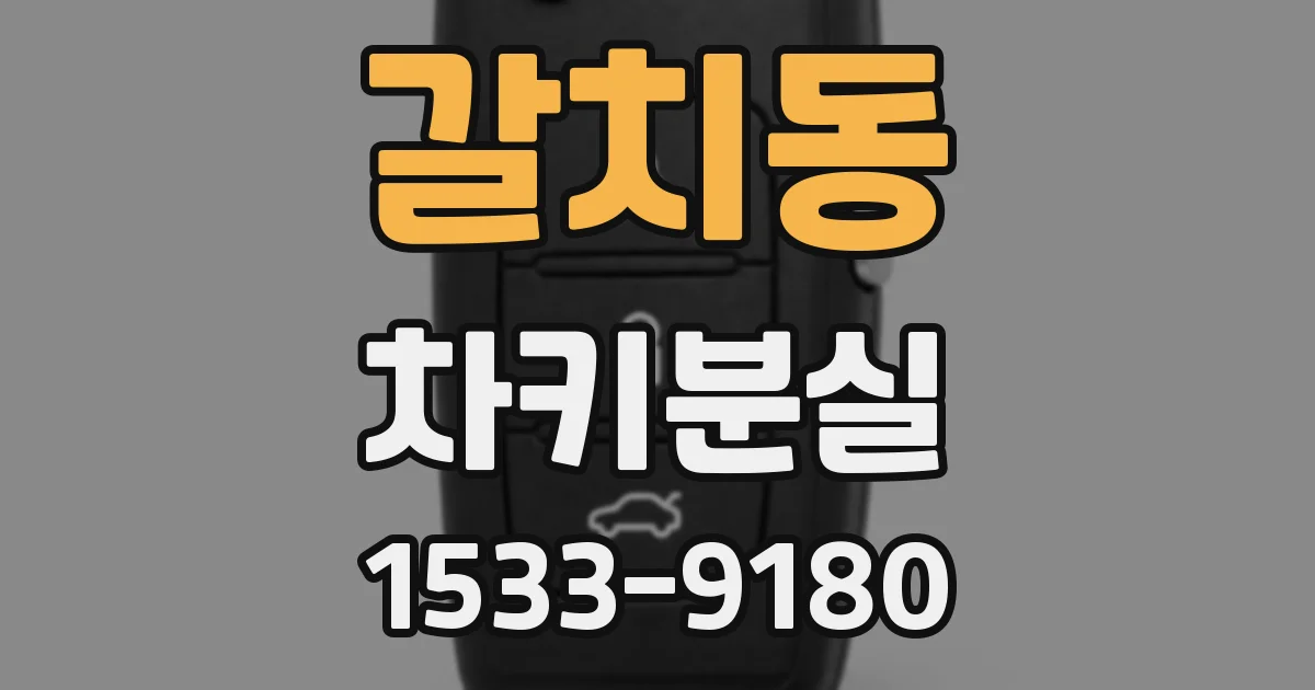 갈치동 차키분실