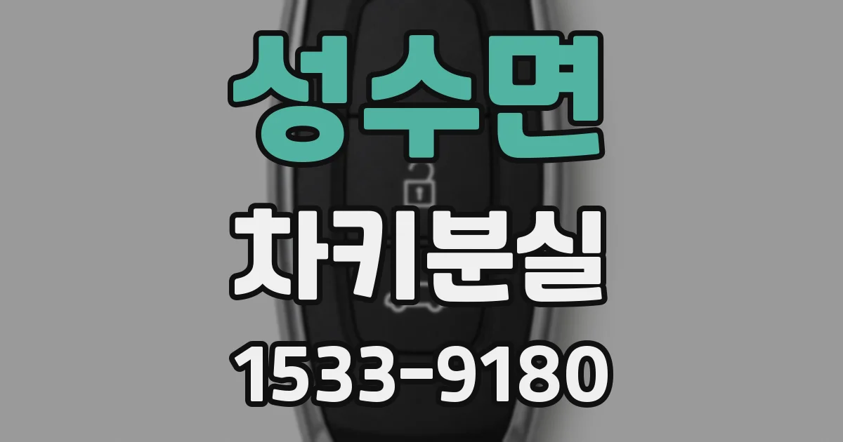 성수면 차키분실