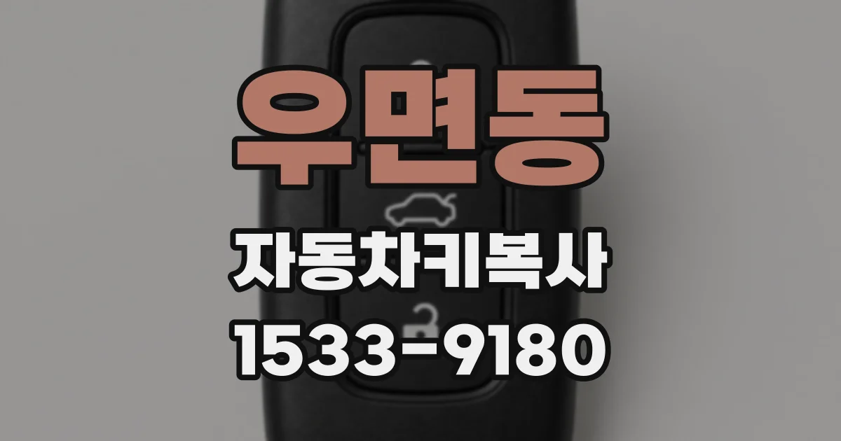 우면동 자동차키복사