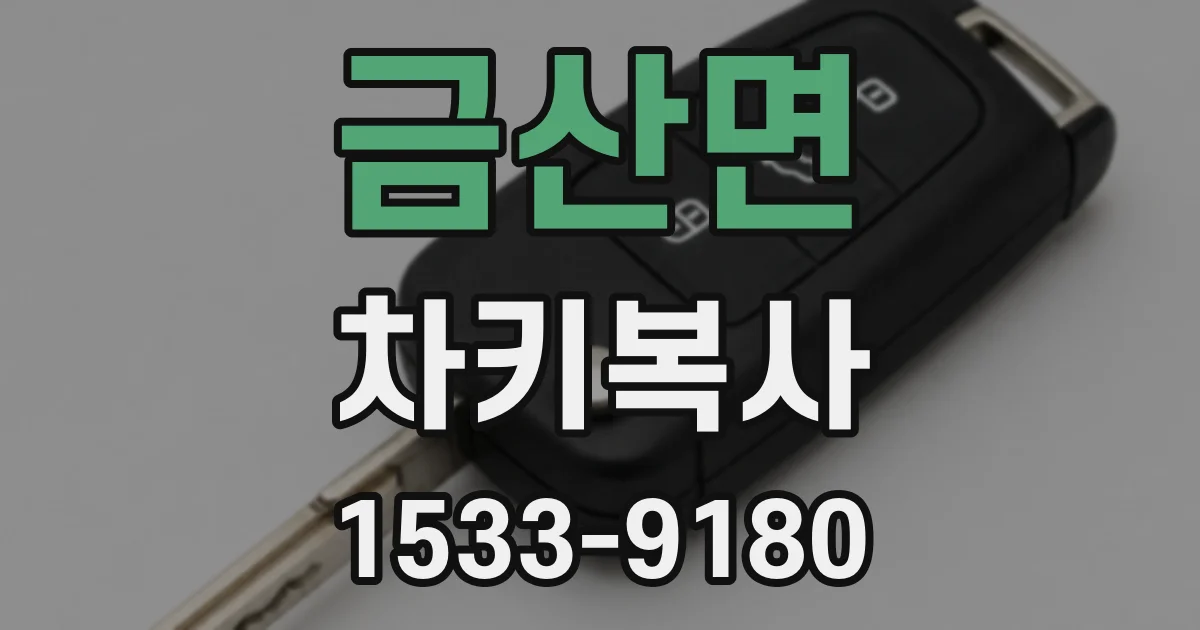 금산면 차키복사