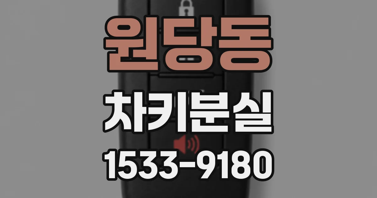 원당동 차키분실