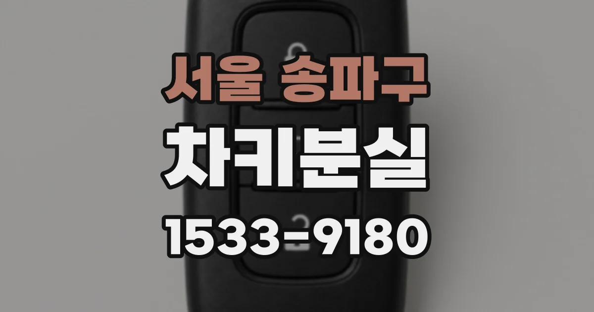 서울 송파구 차키분실