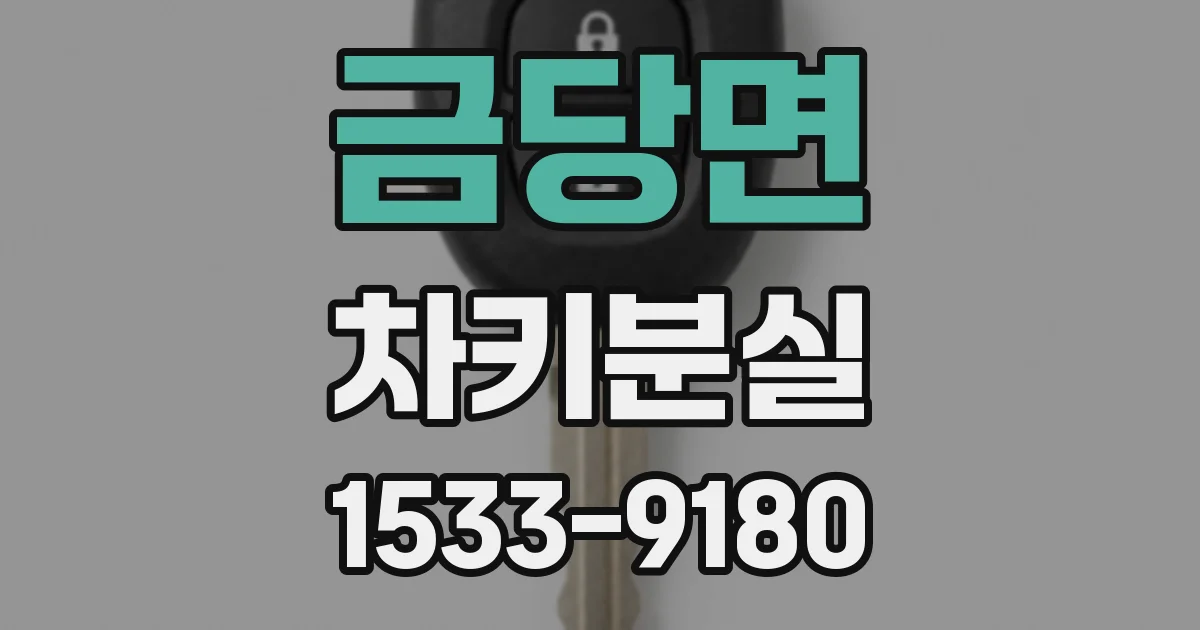 금당면 차키분실
