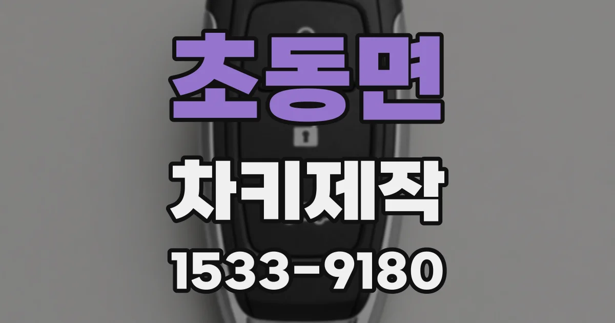 초동면 차키제작