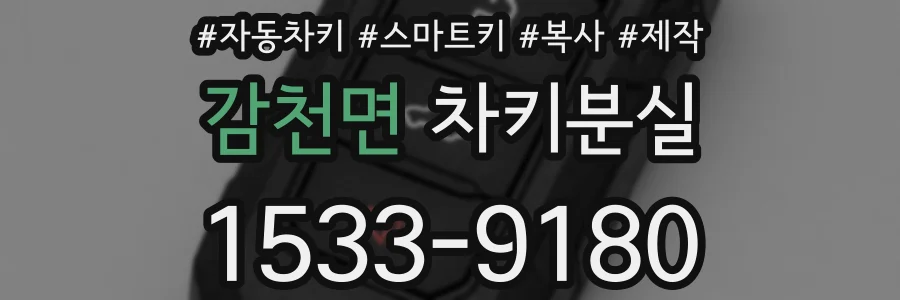 감천면 차키분실