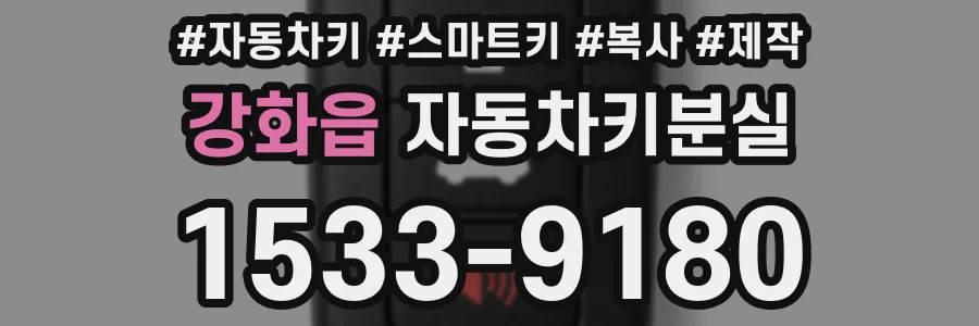 강화읍 자동차키분실