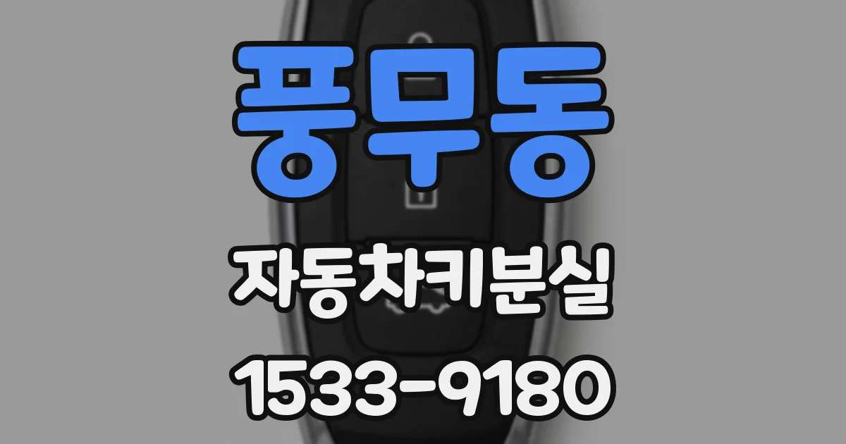 풍무동 자동차키분실
