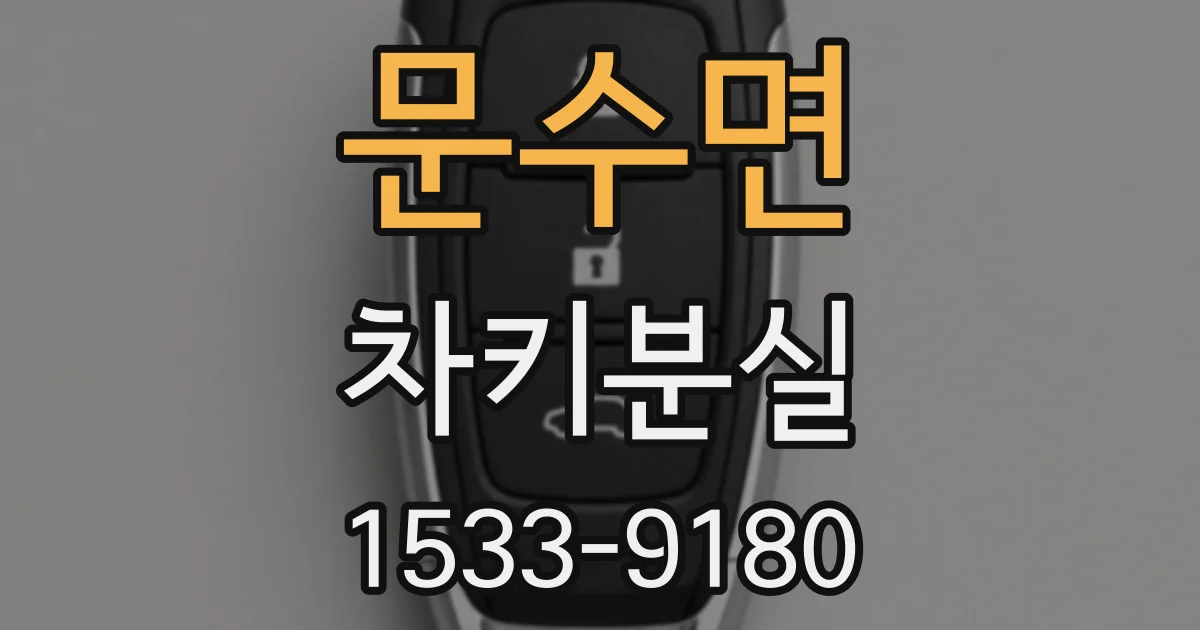문수면 차키분실