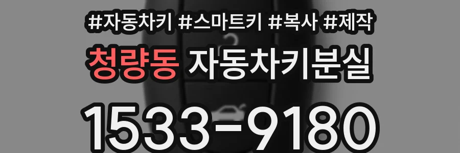 청량동 자동차키분실