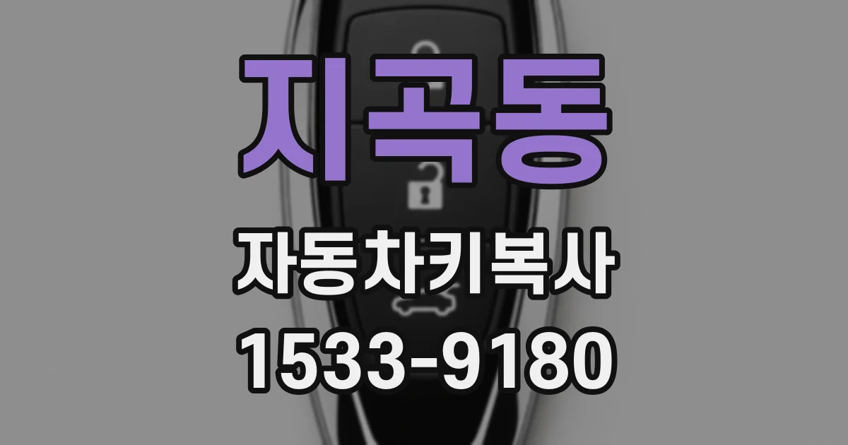 지곡동 자동차키복사