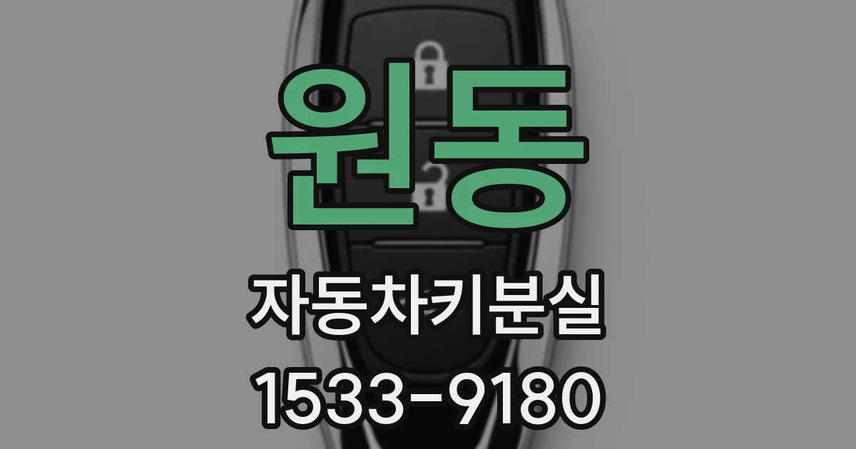 원동 자동차키분실