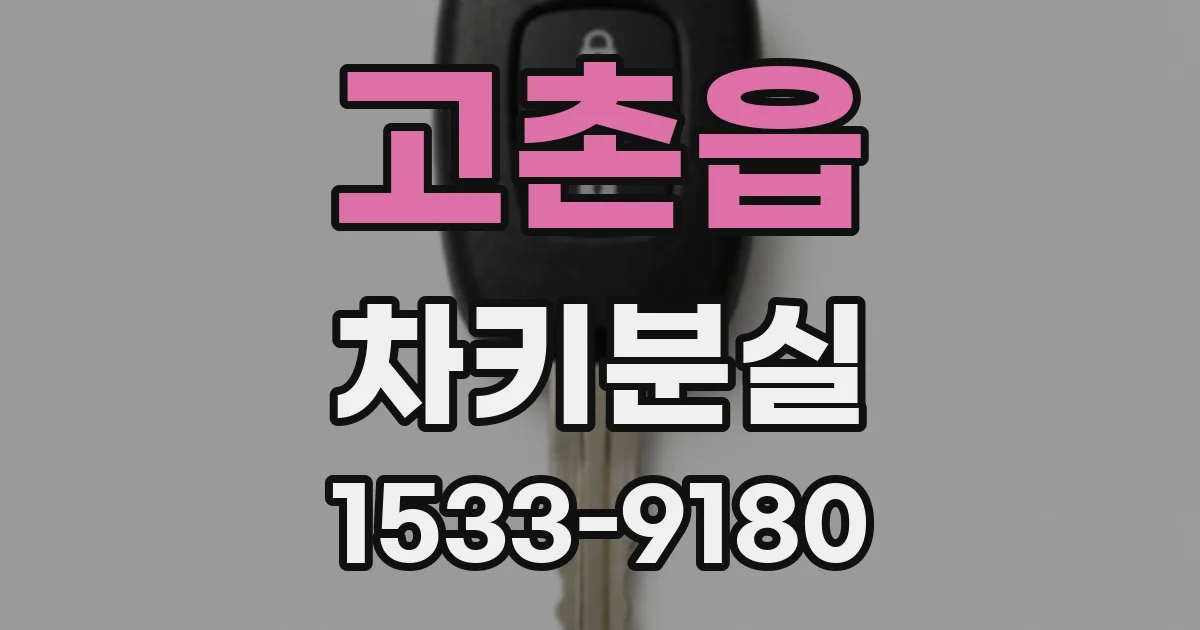 고촌읍 차키분실