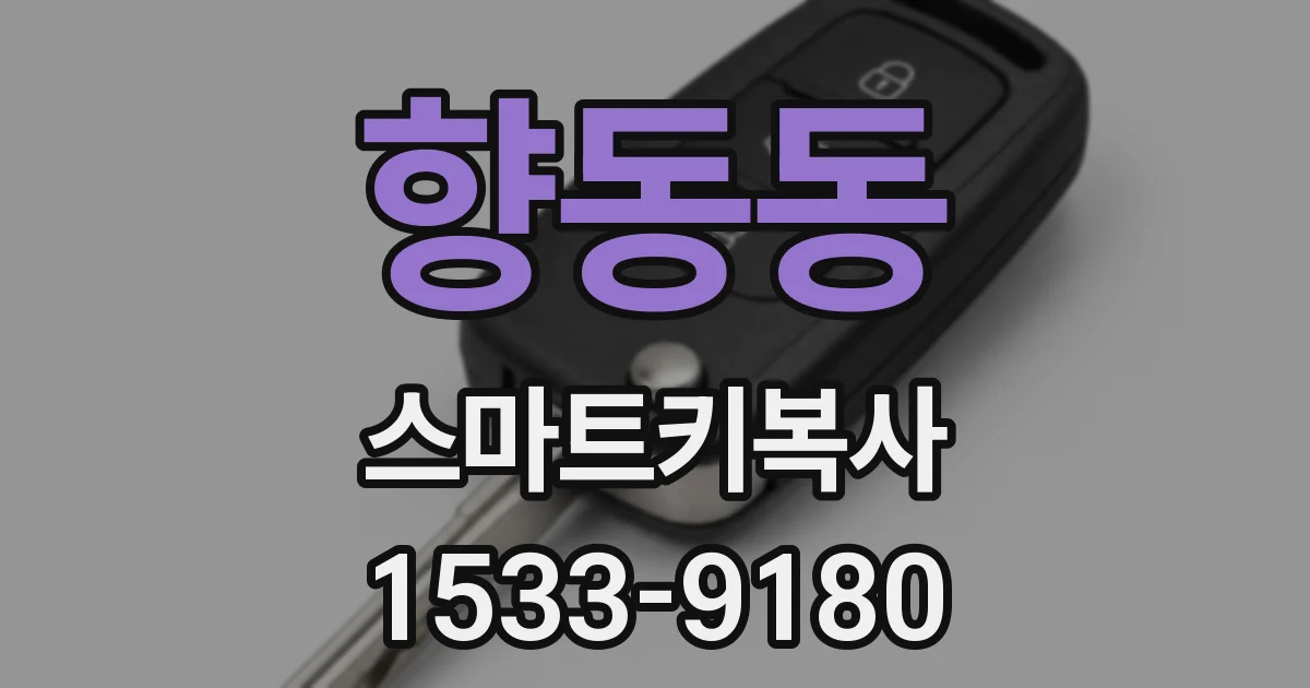 향동동 스마트키복사