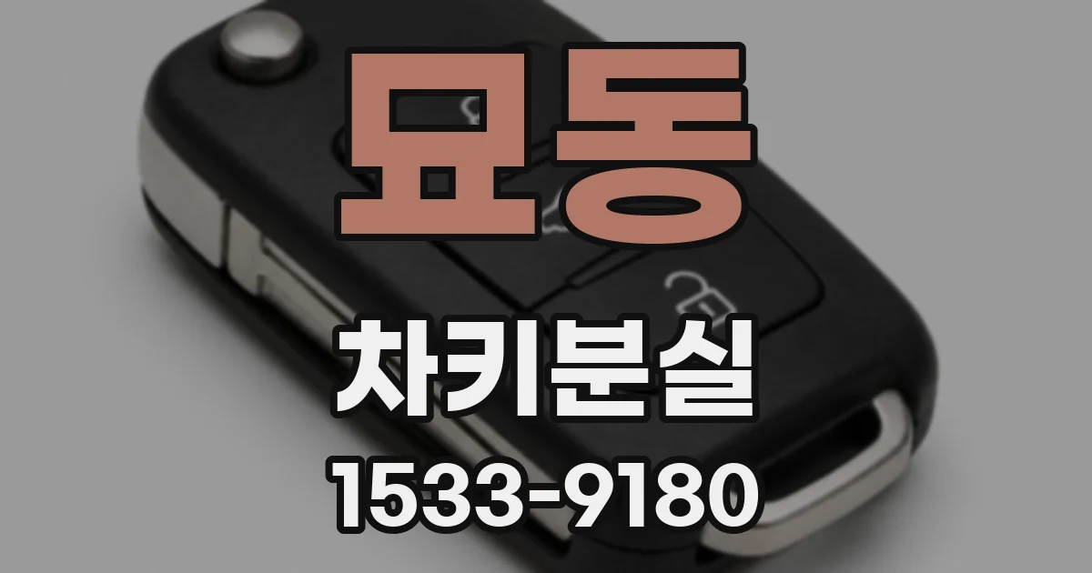묘동 차키분실