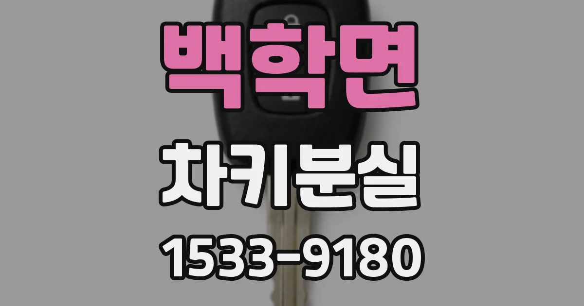 백학면 차키분실